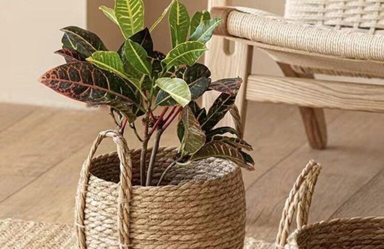 Clay & Soil: Handmade Pots That Tell a Story